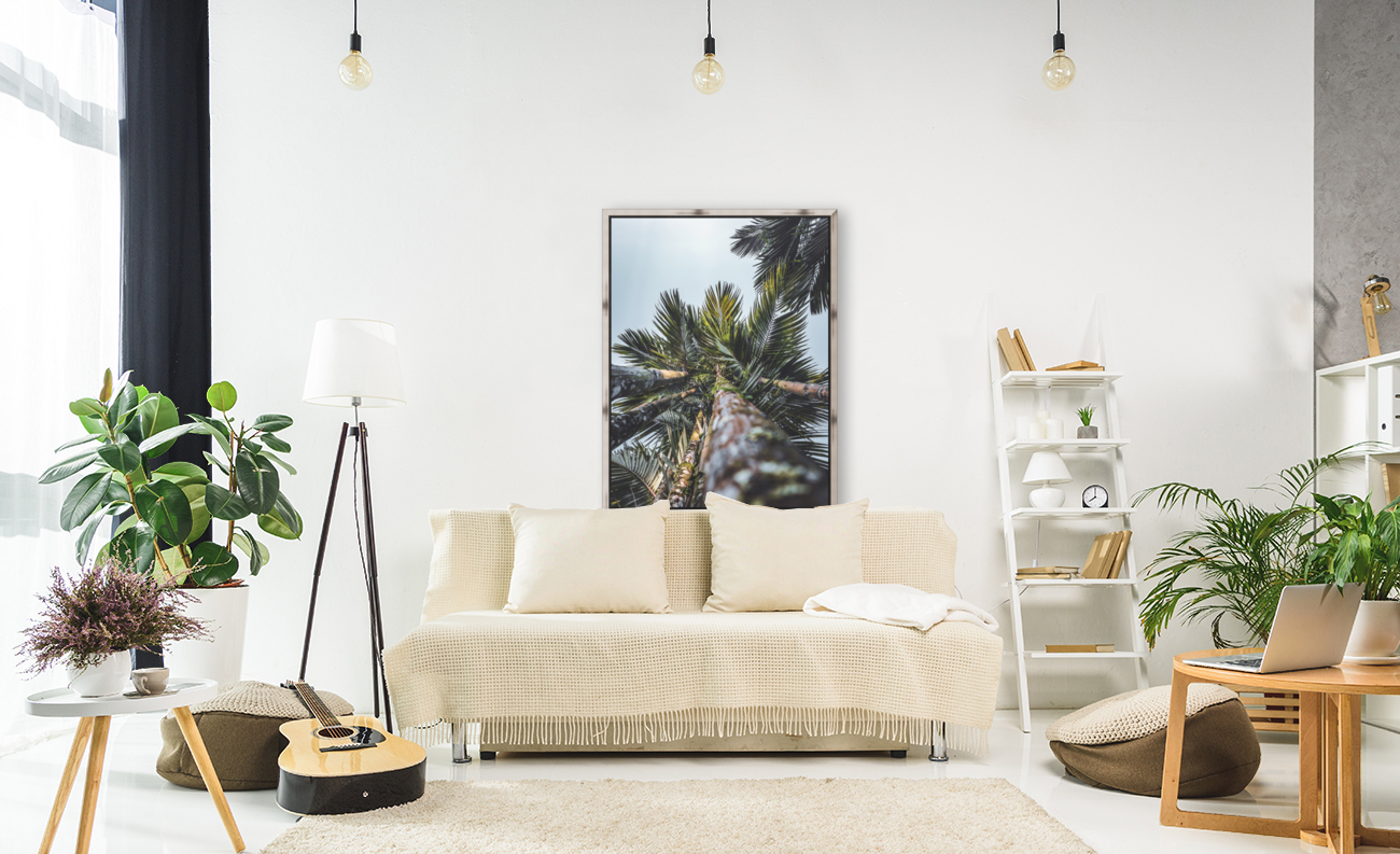 Up Palm 12 Reproduction