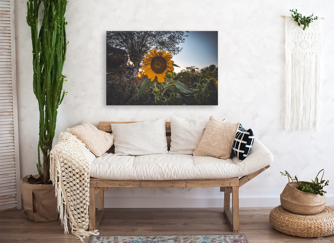 Sunflower At Sunset Reproduction