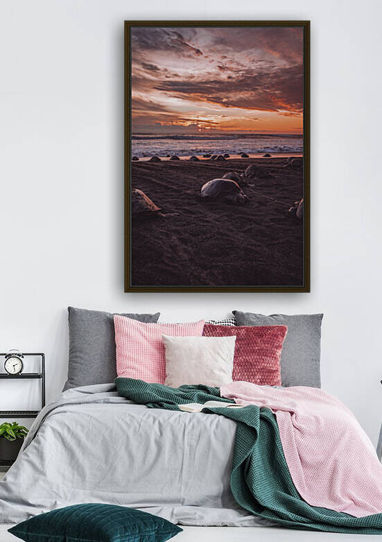 Olive RIdley Turtles At Sunset Reproduction