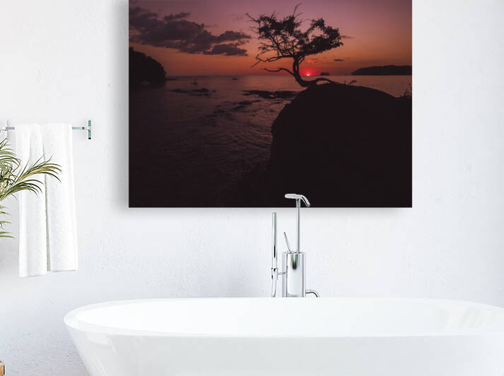 Bonsai Sunset Reproduction