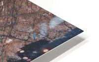Samara Tide Pools HD Metal print