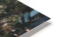 Barrigona Forest HD Metal print