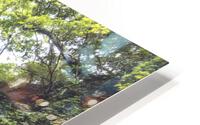 Oropendola Waterfall HD Metal print