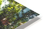 Jungle Waterfall HD Metal print