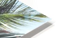 Up Palm 9 HD Metal print