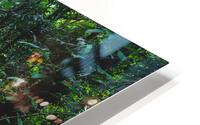 Path Through Jungle Horizontal HD Metal print