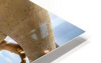 Drift Wood Windows HD Metal print