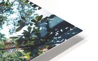 Jungle Bridge HD Metal print