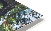 Jungle Bridge Arch HD Metal print