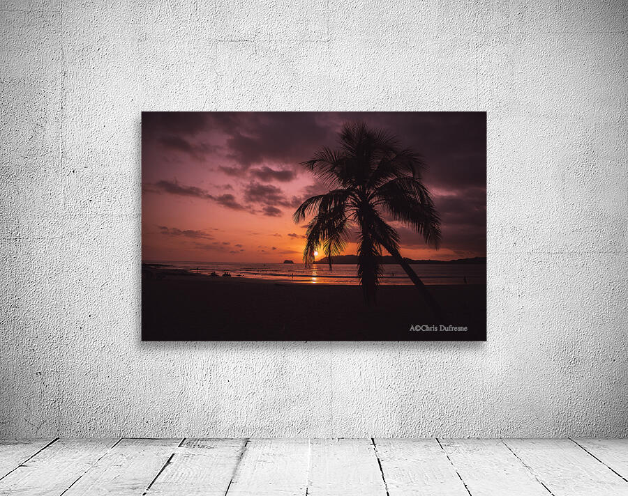 Palm Sunset Wall Preview