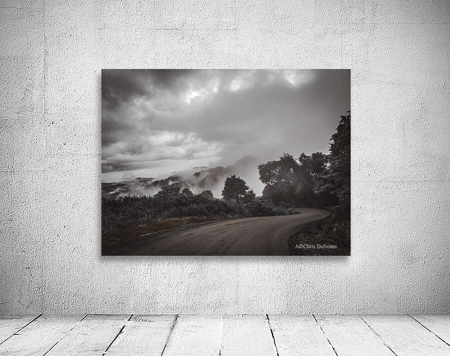 Jungle Mountain Road Wall Preview