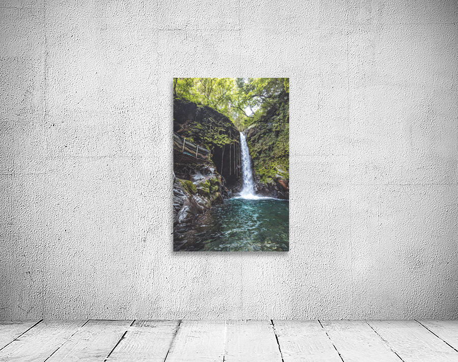 Oropendola Waterfall Wall Preview