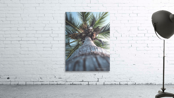 Up Palm 9 Wall Preview