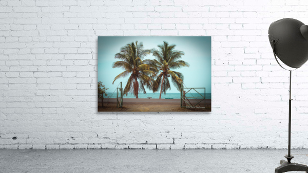 Love Palms Wall Preview