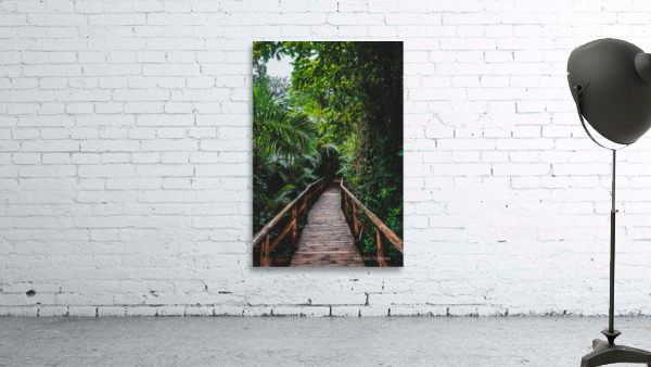 Path Through Jungle Portrait Wall Preview