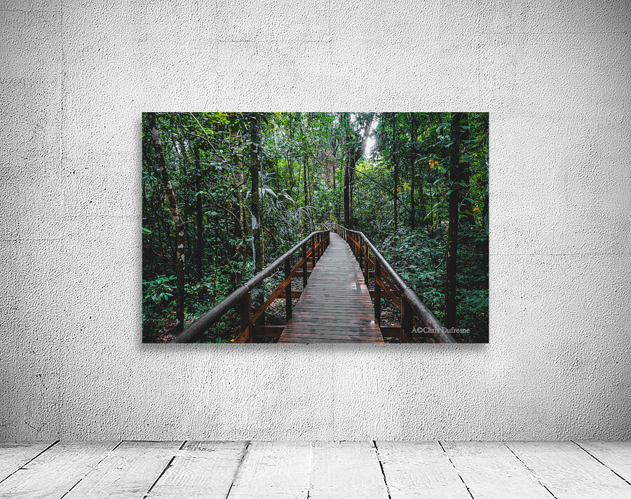Path Through Jungle Horizontal Wall Preview