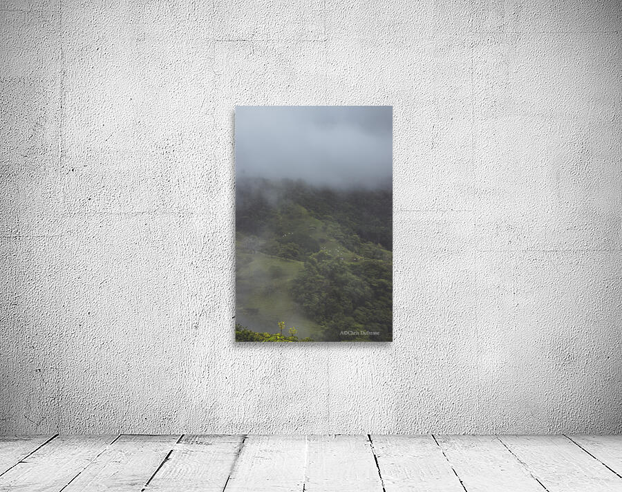 Misty Mountain Cows Wall Preview