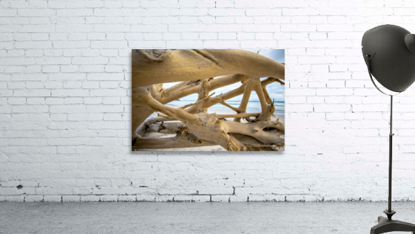 Drift Wood Windows Wall Preview