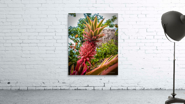Pink Pineapple Wall Preview