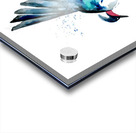 Blue Swallow Acrylic print