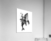 Blue Humpback Whale Acrylic Print