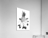 Roses and Pineapple Acrylic Print