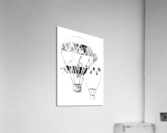 Hot Air Balloons Acrylic Print