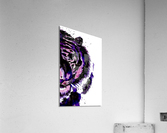 Purple Tiger Half Face Acrylic Print