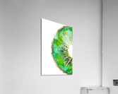 Kiwi Fruit Slice Acrylic Print