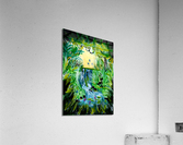 Jungle Springwater Acrylic Print