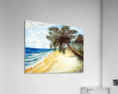 Beach with Palm Trees Acrylic Print