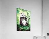 Hungry Big Panda Acrylic Print