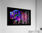 Rainbow Buffalo Acrylic Print
