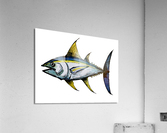 Big Tuna Fish Acrylic Print