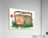 Flower Radio Acrylic Print