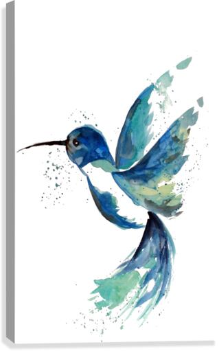 Blue Hummingbird Canvas Print