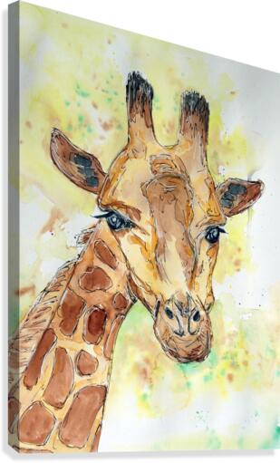 A little Giraffe Canvas Print