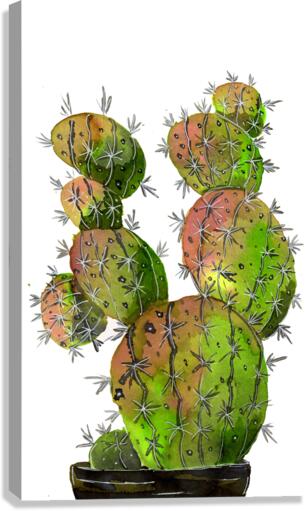 Big Old Stingy Cactus Canvas Print