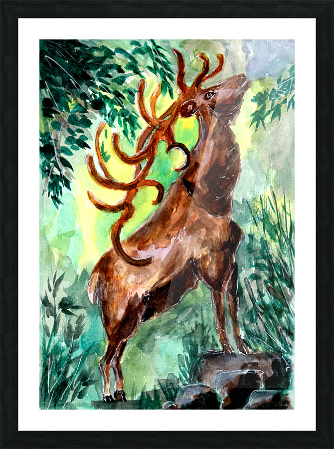 Old Stag Calling Picture Frame print