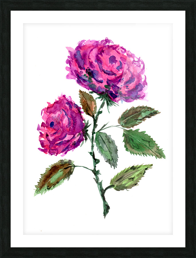 Purple Roses Picture Frame print