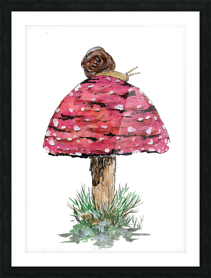 Fly Agaric Toadstool and Snail Picture Frame print