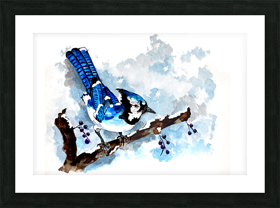 Blue Jay Winter Picture Frame print