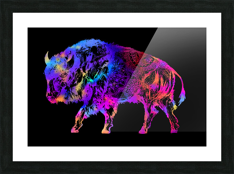 Rainbow Buffalo Picture Frame print