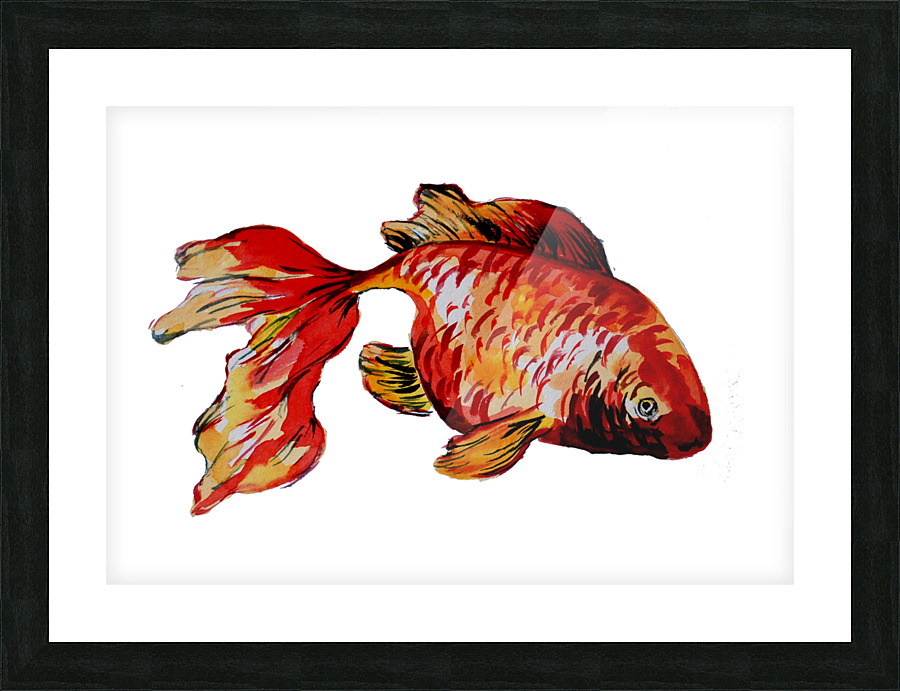 Red Goldfish Picture Frame print