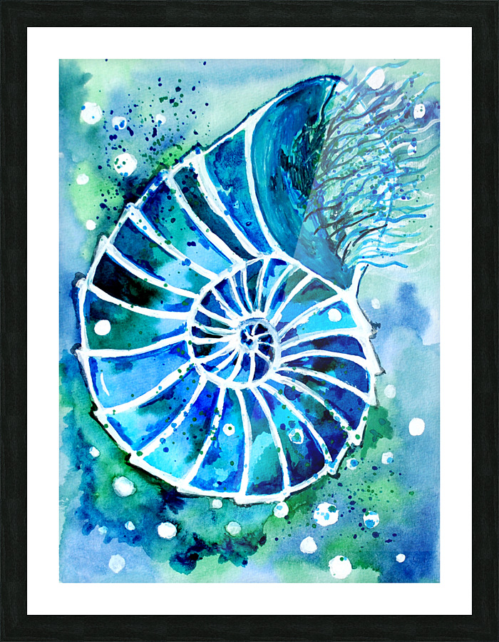 Turquoise Nautilus Picture Frame print