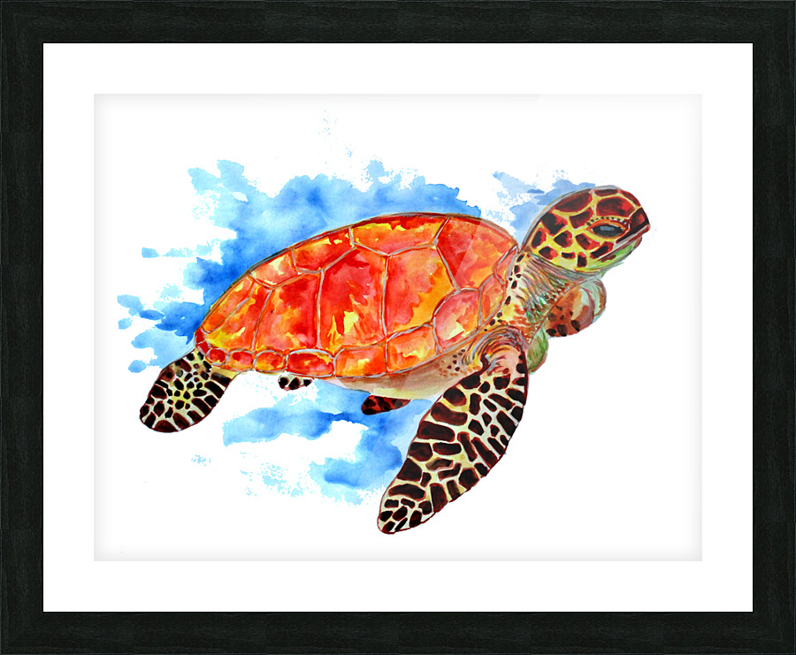 Red Sea Turtle Picture Frame print