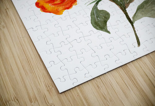 Orange Roses Sebastian Grafmann puzzle