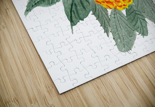 Orange Hydrangeas Sebastian Grafmann puzzle