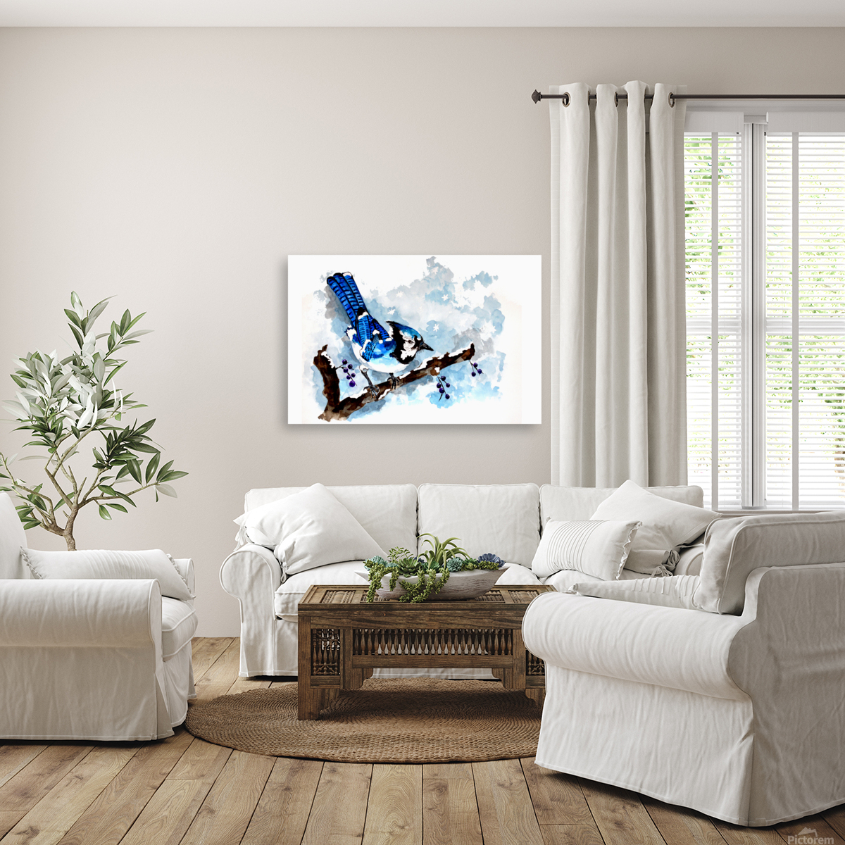 Blue Jay Winter Reproduction