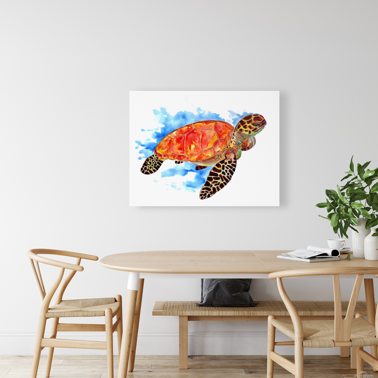 Red Sea Turtle Reproduction